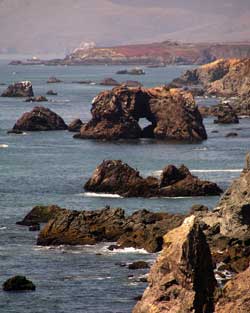 Sonoma Coast