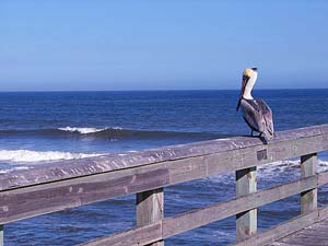 image with blue color caste