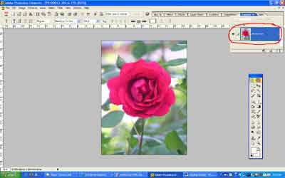 Using the Pallet Well