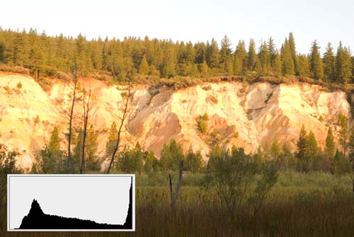 Overexposed Landscape